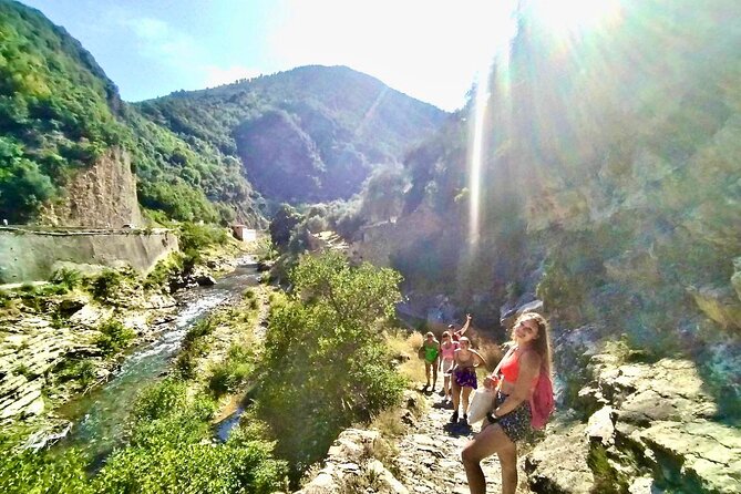 Train Experience Through The Alps (Full Day) - Physical Fitness and Accessibility