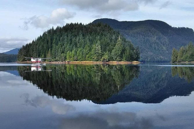 Traitors Cove Bear Viewing - Practical Details: Transfers, Guides, and Equipment