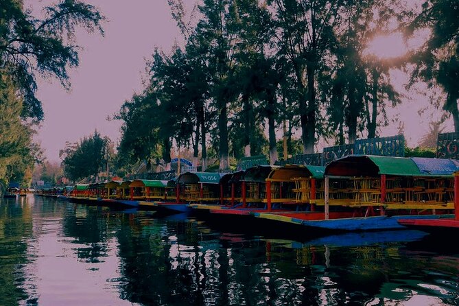 Trajinera Party at Xochimilco with Drinks, Mariachi & Tacos - What Drinks Are Included and How the Party Feels