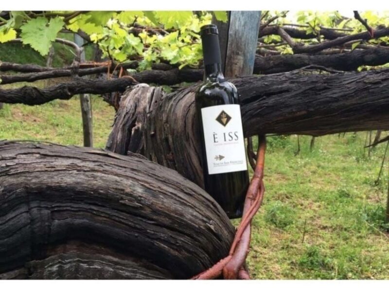 Tramonti: Tenuta San Francesco Wine Tasting - Key Points