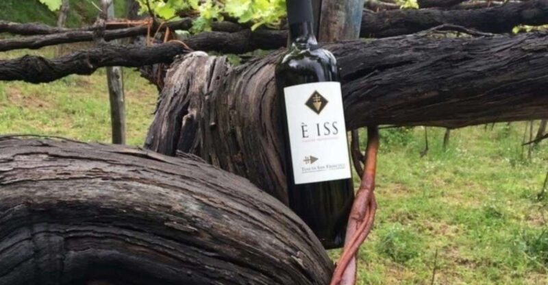 Tramonti: Tenuta San Francesco Wine Tasting - Guided Tour of the Winery and Historic Grounds