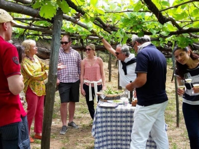 Tramonti: Tenuta San Francesco Wine Tasting - Booking Options and Flexibility