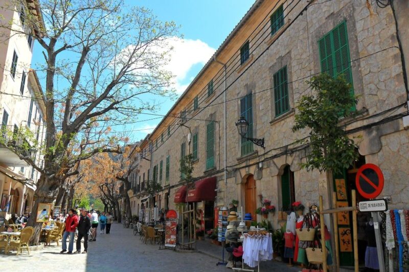 Tramuntana Small Group Tour - Soller, Deiá, Valldemossa - Comfortable Transportation and Pacing