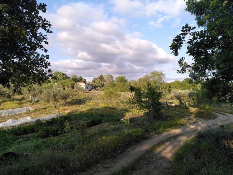Trancoso: Farm eco-Tour with Tasting - Tasting Farm Products: Cheese, Olive Oil, and More