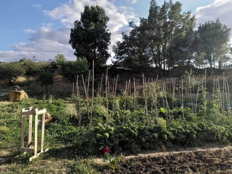 Trancoso: Farm eco-Tour with Tasting - The Farms Emphasis on Environmental Respect