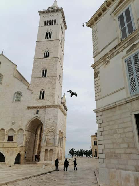 TRANI AND CASTEL DEL MONTE: guided visits and transfer from Matera - What to Bring and Additional Info