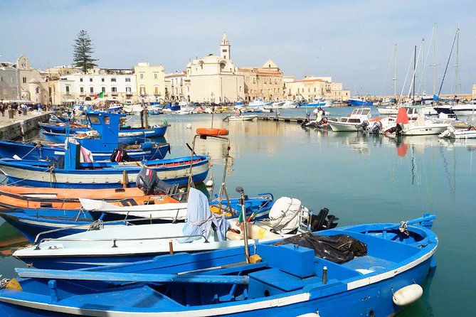 Trani Private Tour: a piece of art overlooking the Adriatic sea - Scenic Views and Heritage Insights on a Compact Schedule