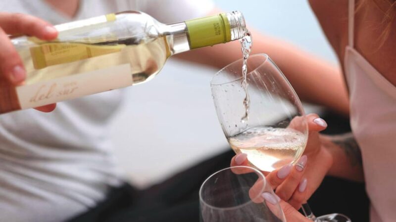 Trani Wine Tours: Flavors of Puglia - The Highlight: Wine and Local Product Tasting