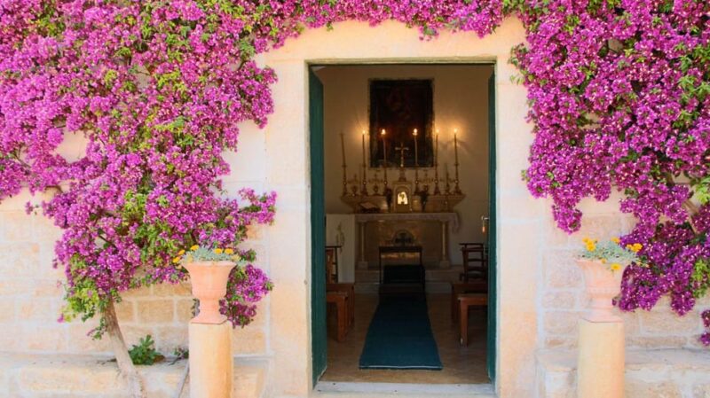 Trani Wine Tours: Flavors of Puglia - Who Will Appreciate This Tour Most?