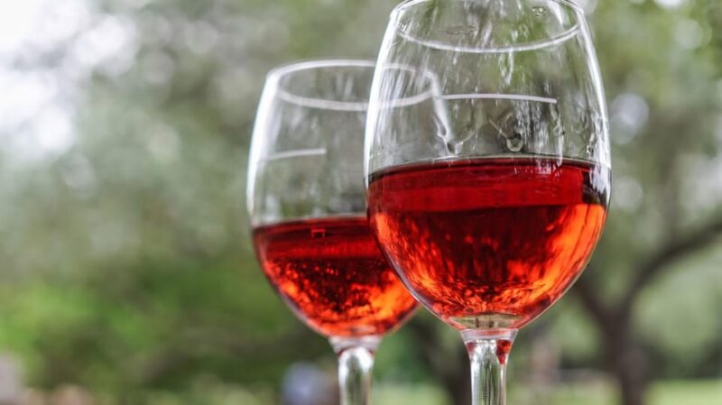 Trani Wine Tours: Flavors of Puglia - The Sum Up: A Balanced Taste of Puglia’s Wine Scene