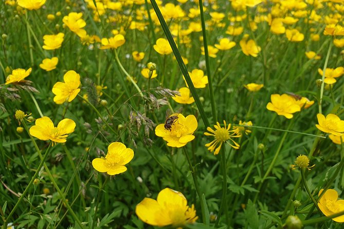 Transfagarasan Highway and Balea Lake E-Bike Tour - Practical Details: What’s Included and What You Should Bring