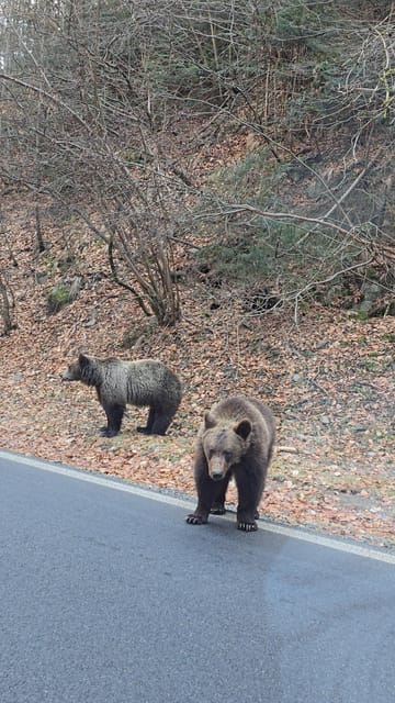 Transfagarasan highway Private tour - What’s Included and What to Prepare