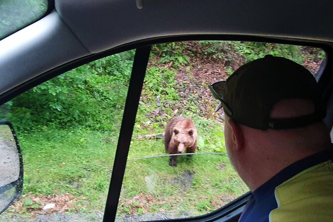 Transfagarasan Road Private Day Trip from Bucharest / The Best Road in the World - The Flexibility and Personalization of the Private Tour