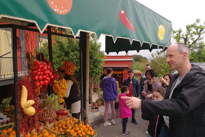 Transfer also for disabled Naples / Sorrento / Amalfi Coast - Convenient and Personal Transfers with a Touch of Comfort in Naples and Sorrento