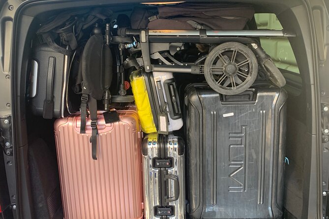 Transfer Civitavecchia Port to airport area - Reviews Highlighting Reliability and Service Quality