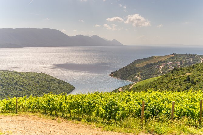 Transfer Dubrovnik to Split with Sightseeing in Ston Town - Lunch Options at Local Restaurants during the Ston Stop