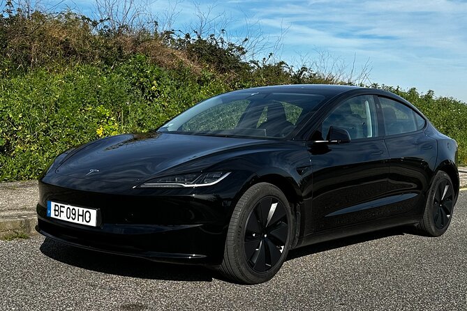 Transfer From Albufeira Algarve To Lisboa - Why Choose This Private Transfer Service?