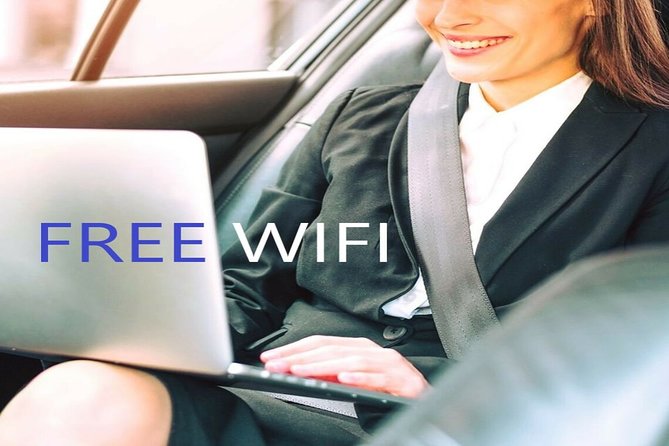 Transfer from Alicante airport to Albir in private Sedan car max. 3 passengers - Accessibility and Operating Hours