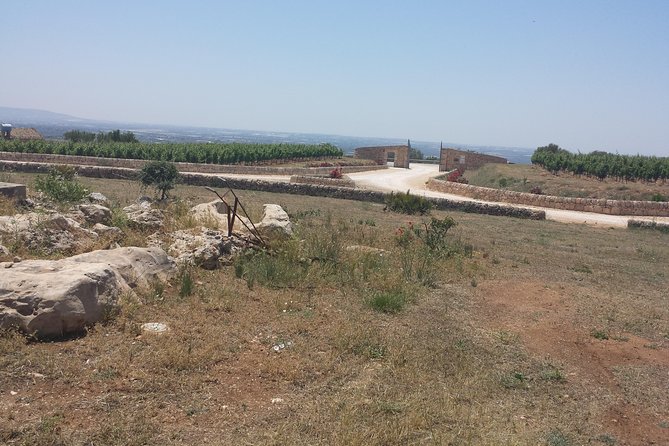 Transfer from and to Catania Airport Taormina Giardini Naxos Letojanni Mazzarò. - Why Choose This Transfer Over Alternatives?