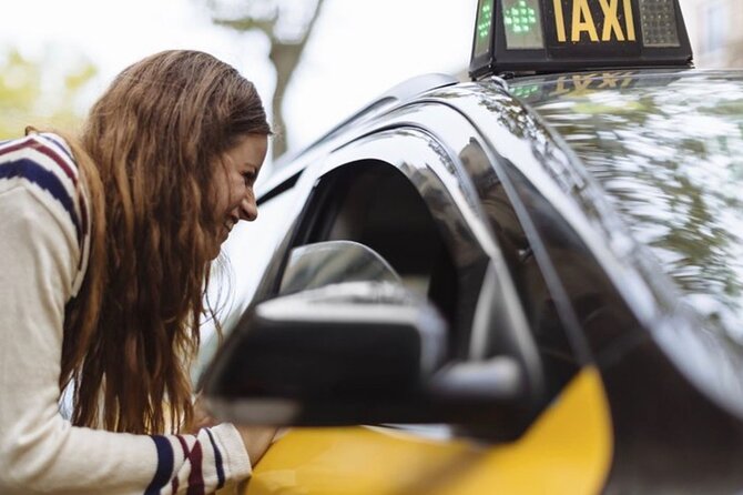 Transfer from Barcelona City to cruise port Private - Key Points