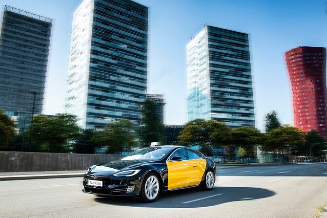 Transfer from Barcelona City to cruise port Private - What the Driver Provides During the Transfer