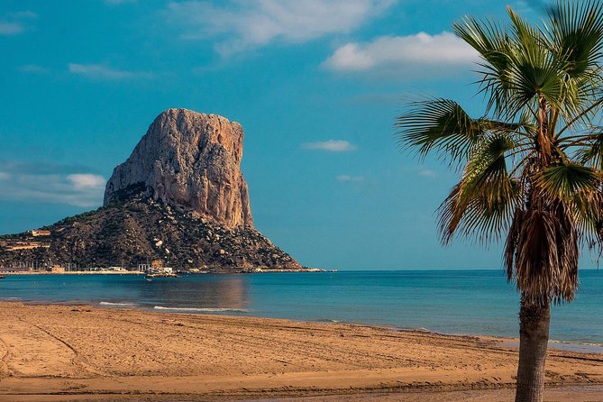 Transfer from Calpe to Alicante airport in private Sedan car max. 3 passengers - Fleet and Amenities: Modern Vehicles with Extras