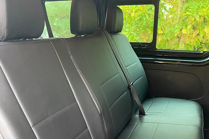 Transfer from CDG/ORLY/LBG Airport to Paris by Van (8PAX) - Accessibility and Special Needs