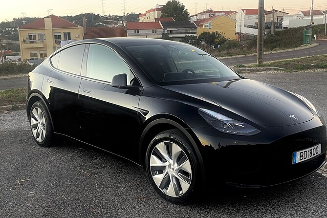 Transfer from Lisbon - Porto (Stopping in Óbidos, Nazaré and Aveiro) - Who Will Love This Experience?