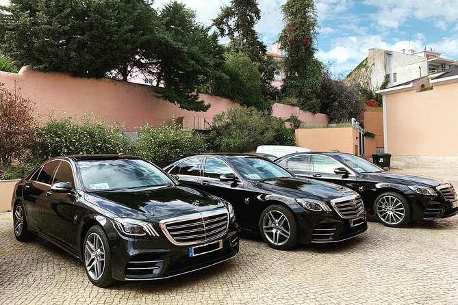 Transfer from Lisbon to Algarve (Direct) - Why This Transfer Stands Out Among Portugal’s Ground Transportation Options