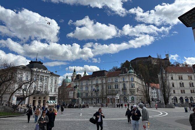 Transfer from Ljubljana to Trieste or vice versa - The Experience Compared to Larger Tour Options