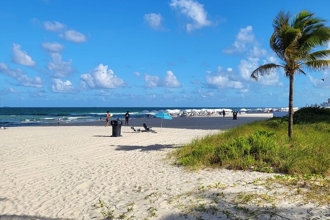 Transfer from Miami Airport to Hotel or Port Miami. Up to 11 pax. - The Service Provider: Tango Transportation Services