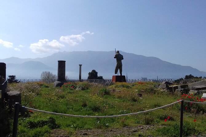 Transfer From Naples/area to Amalfi coast with 2hr stop in Pompei - Logistics and Accessibility of the Tour