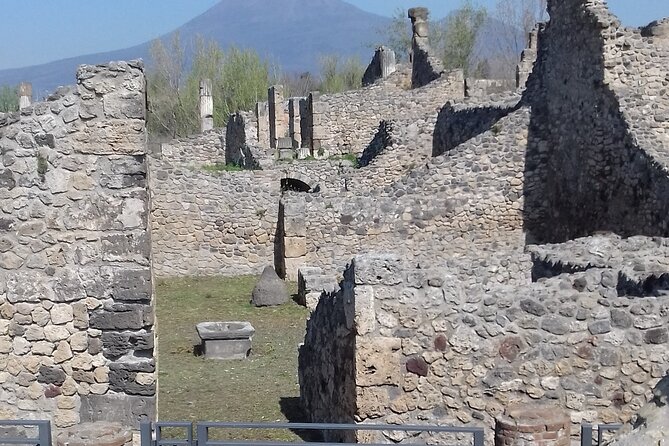 Transfer From Naples area to Sorrento with 2hr stop in Pompeii - The Value of a Well-Organized Day Trip