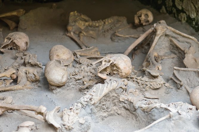 Transfer from Naples to Sorrento with 2 hours Private Tour in Herculaneum - Transfer from Naples to Sorrento with a Guided Herculaneum Tour