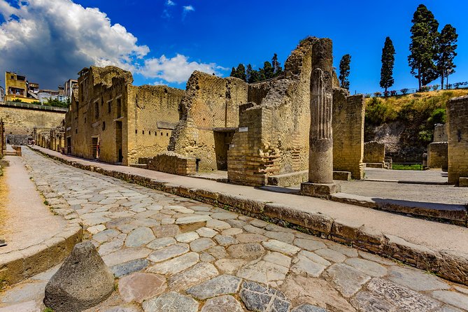 Transfer from Naples to Sorrento with 2 hours Private Tour in Herculaneum - Accessibility and Additional Features