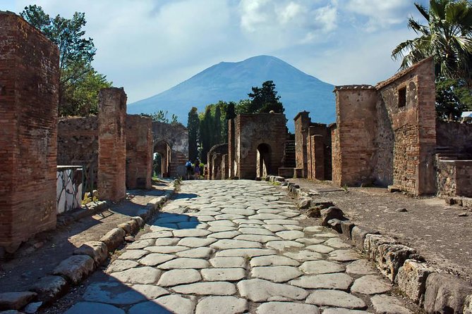 Transfer from Naples to Sorrento with stop at Pompeii - Essential Details of the Pompeii Stop