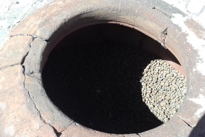 Transfer From Naples Train Station/area to Sorrento 2hr stop in Herculaneum - Comparing This Tour to Similar Options