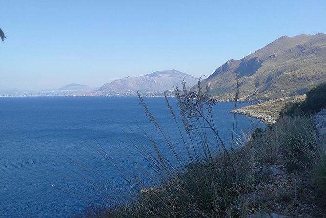 Transfer from Palermo Airport to Scopello and Tonnara di Scopello - Concluding the Transfer Experience: A Practical Choice for Sicily Visitors