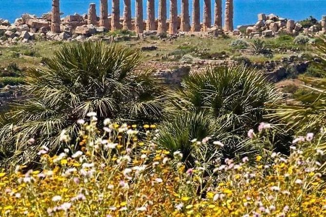 Transfer from Palermo Airport to Verdura Golf Resort Sciacca - Cancellation Policy and Refunds