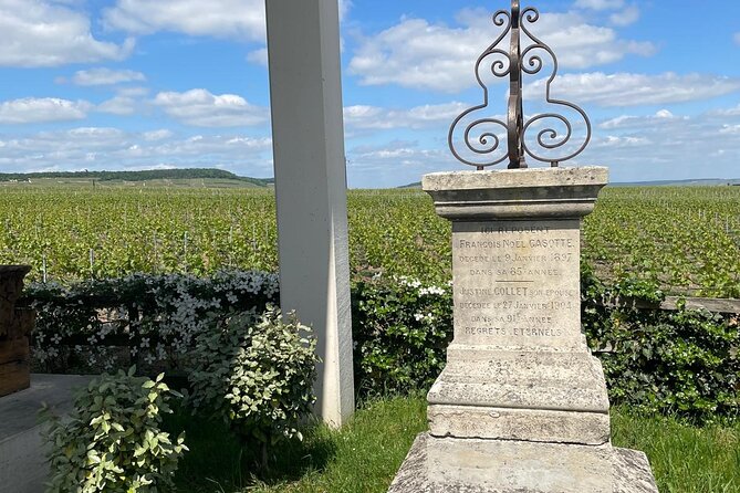 Transfer from Paris to Reims or Epernay - Luxurious Vehicles Designed for Comfort