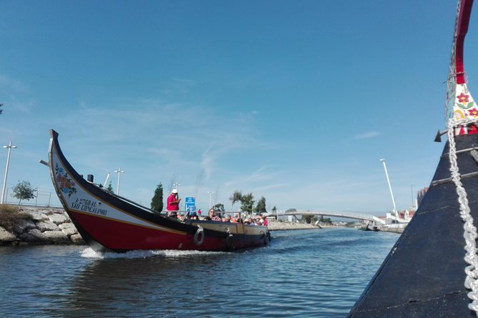 Transfer from Porto to Coimbra visiting Aveiro, half day - Practical Details: Pickup, Water, and Group Size