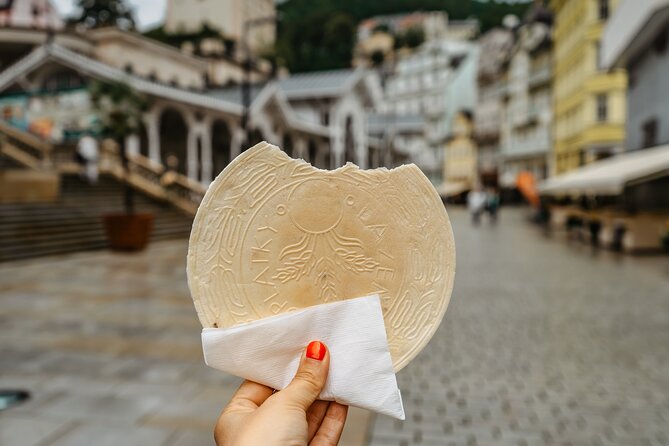 Transfer from Prague to Karlovy Vary: Private daytrip with 2h for sightseeing - Discover the Convenience of a Private Transfer from Prague to Karlovy Vary