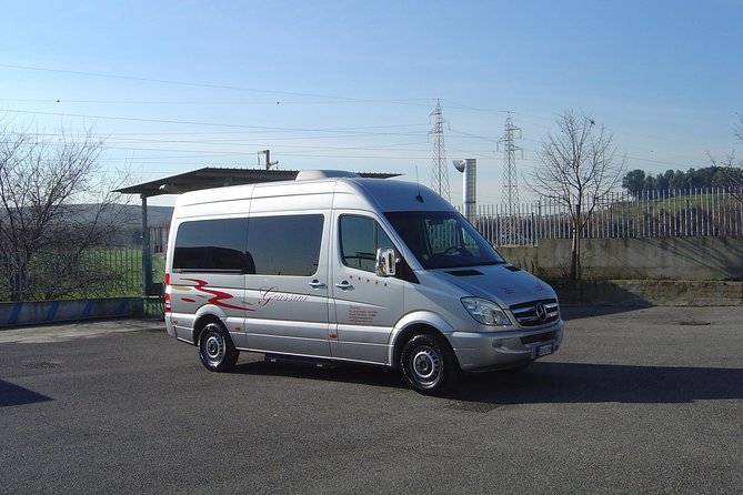 Transfer from Rome Hotel to Civitavecchia Cruise Port and vice versa - Grassini Bus: Trusted Provider Known for Quality Service