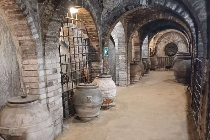 Transfer from Rome to Florence with a stop in Montepulciano - The Unique Charm of Montepulciano