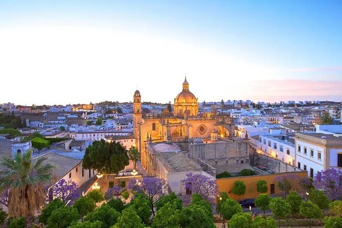 Transfer from Seville to Cadiz - Ease of Booking and Cancellation Policy