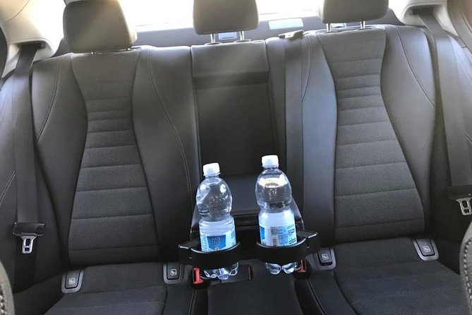 Transfer from the Port of Civitavecchia to Rome - Who Should Choose This Transfer Service?