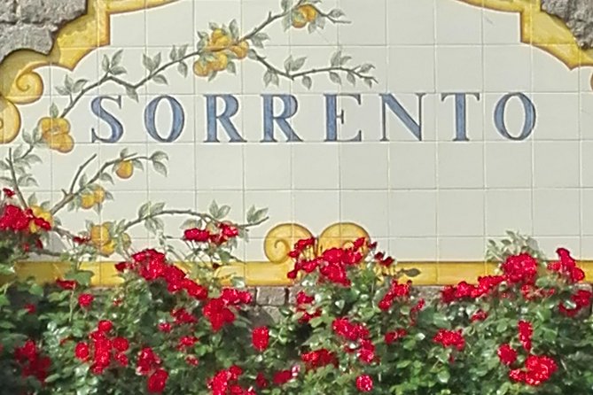 Transfer Naples Positano or vice versa - Pricing and Value for Money