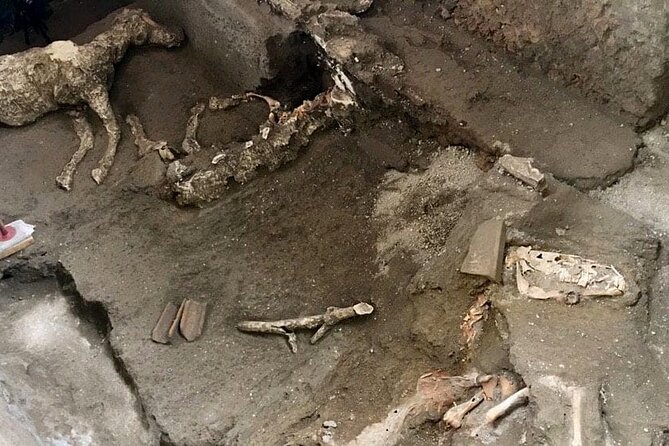 Transfer Naples Sorrento with stop Pompeii - Limitations and considerations