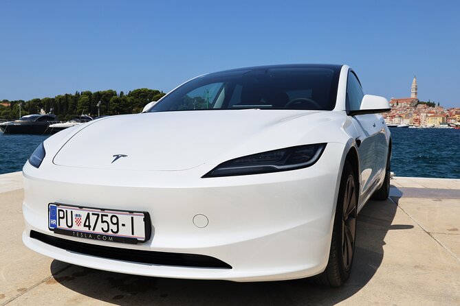 Transfer Rovinj - Venice - Cost and Value for a Private, Door-to-Door Transfer