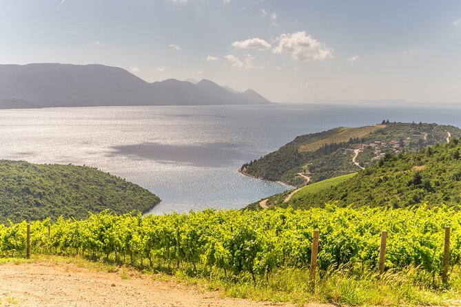 Transfer Split to Dubrovnik with Sightseeing in Ston Town - Optional Wine Tasting in Peljesac Vineyards